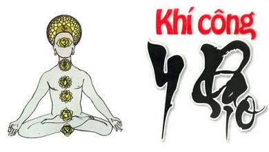 Khí công y đạo - Phương pháp chữa bệnh tổng hợp Y học cổ truyền